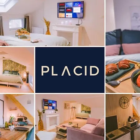 Appartamento Le Pluvier D'or - Confort - Centre-ville *