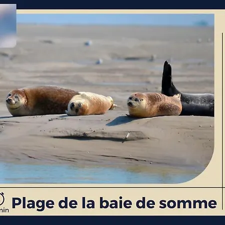 Appartamento Le Pluvier D'or - Confort - Centre-ville Abbeville